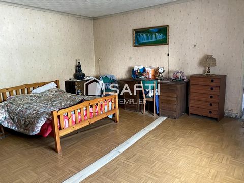 photo no. 5