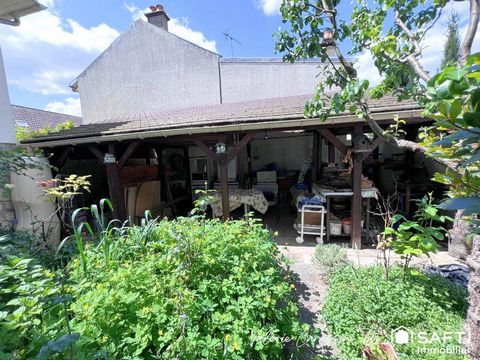 photo no. 10