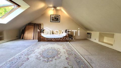 photo no. 10