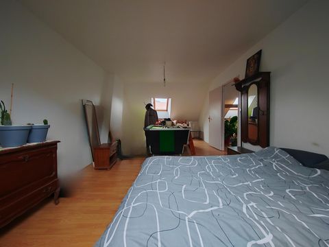 photo no. 9