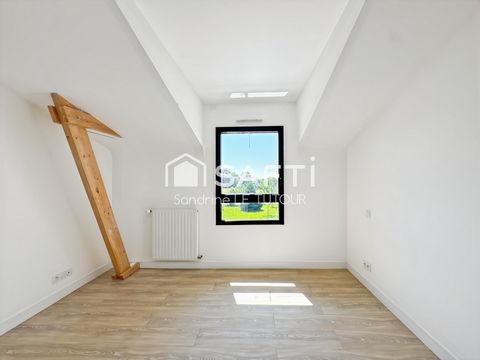 photo no. 8