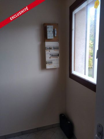 photo no. 8