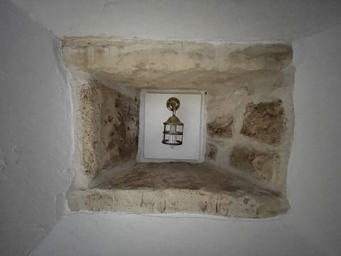 photo no. 15