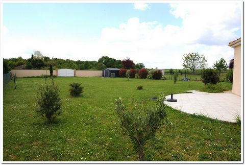 photo no. 11