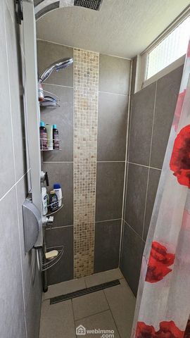 photo no. 12