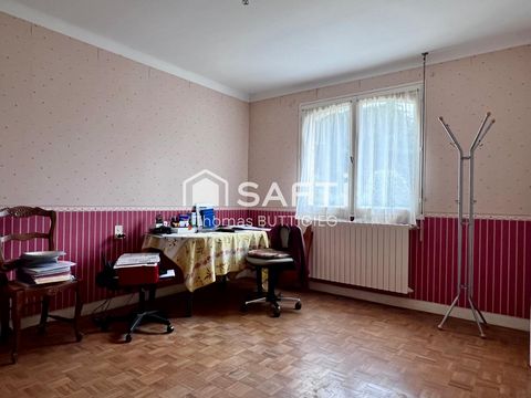photo no. 4