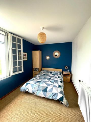 photo no. 12