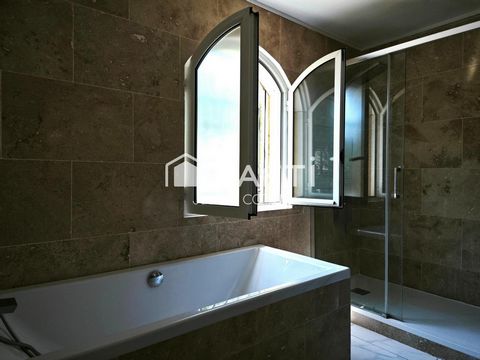 photo no. 12