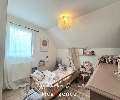 photo no. 11