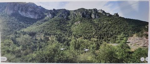 Terrain boisé  Vallée de la Jonte
