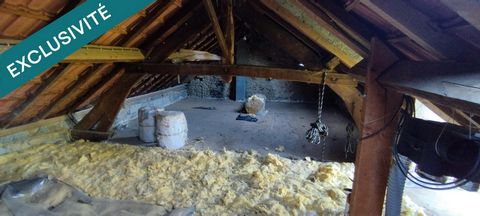 photo no. 14