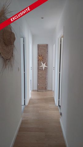 photo no. 6