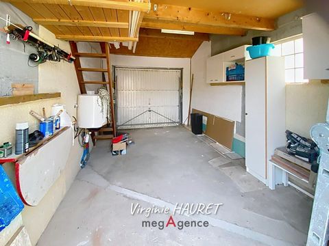 photo no. 12