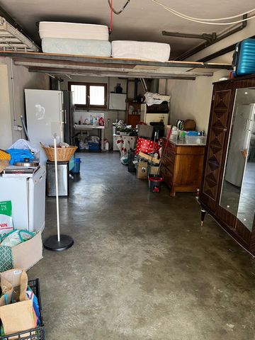 photo no. 16