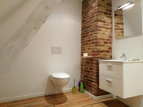 photo no. 8