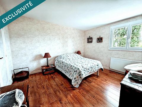 photo no. 6