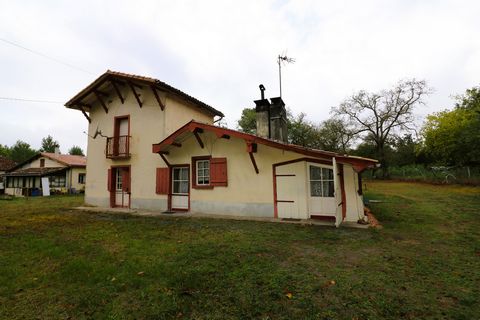 photo no. 13