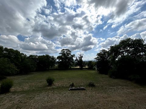 photo no. 13