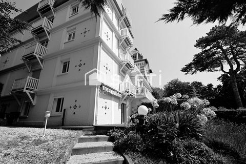 photo no. 12