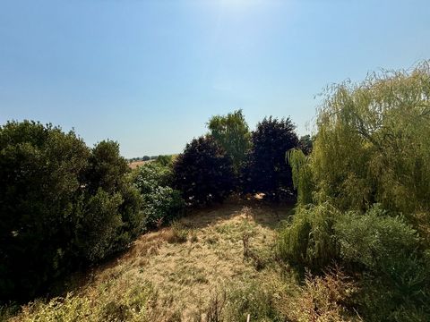 photo no. 15