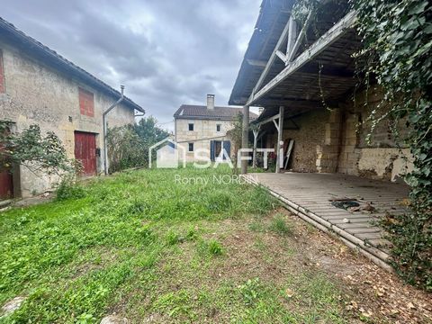 photo no. 10