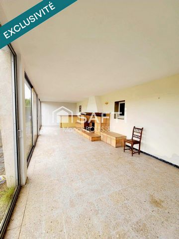 photo no. 11