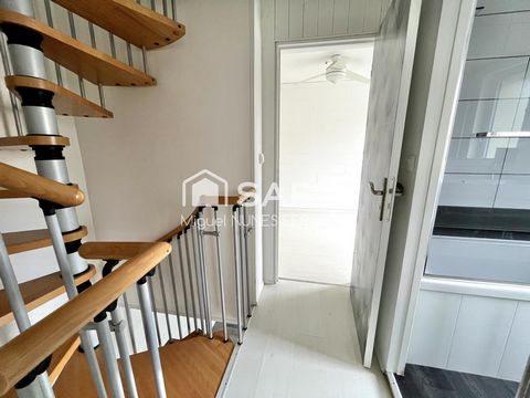 photo no. 6