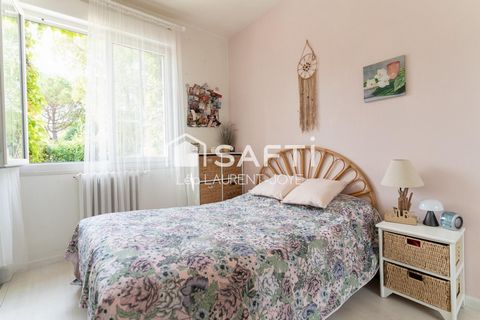 photo no. 8