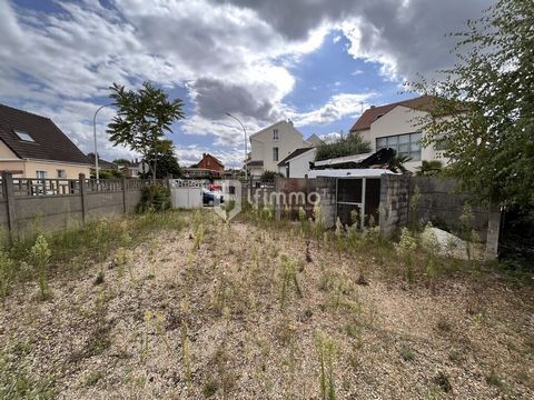 photo no. 6