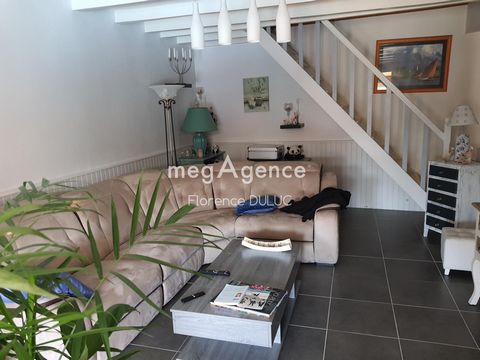 photo no. 11