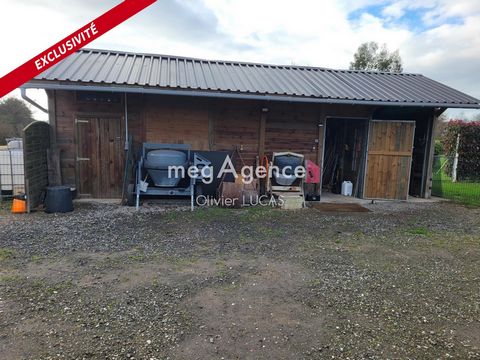 photo no. 13