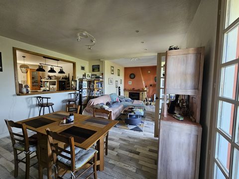 photo no. 7