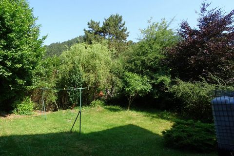 photo no. 11