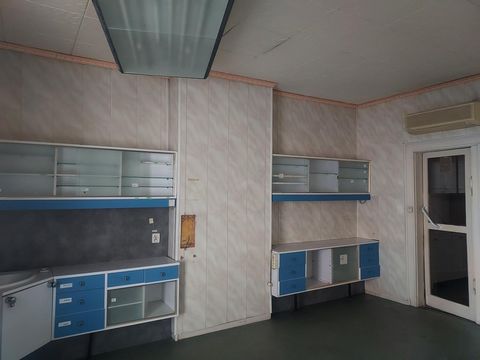 photo no. 2