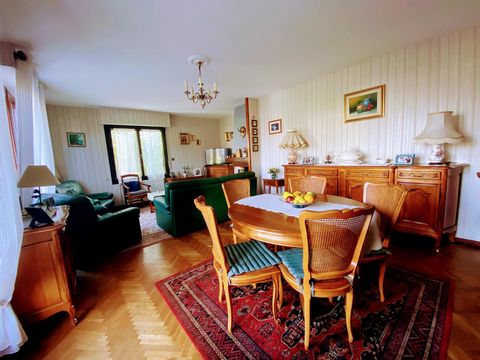 photo no. 6
