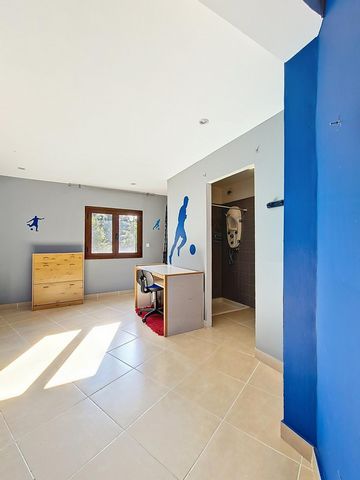 photo no. 8