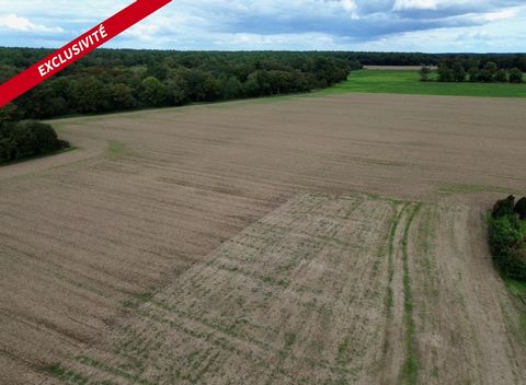 Terrain constructible 1030m2