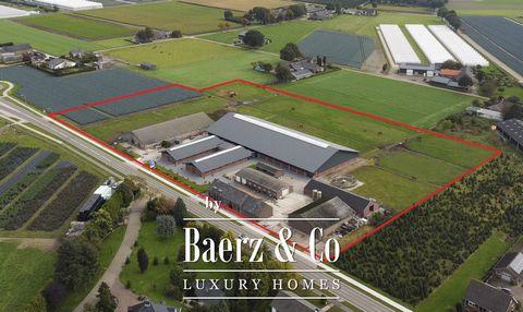 In het hippisch hart van Nederland, op ca. 10 minuten rijden van Equestrian Centre De Peelbergen, gelegen grotendeels gerenoveerde hippische accommodatie bestaande uit een vrijstaande woonboerderij met een vrijstaande rijhal en 2 stalunits (28 boxen)...