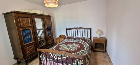 photo no. 13