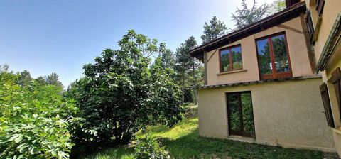 photo no. 23
