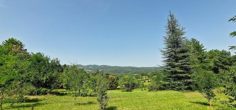 photo no. 31