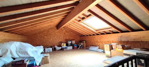 photo no. 16