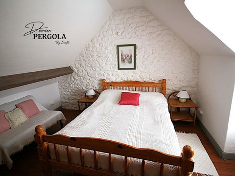 photo no. 7