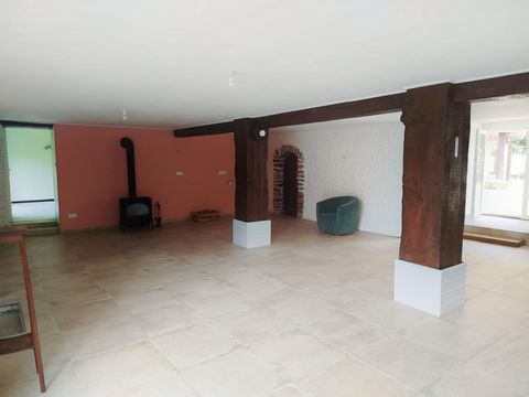 photo no. 5