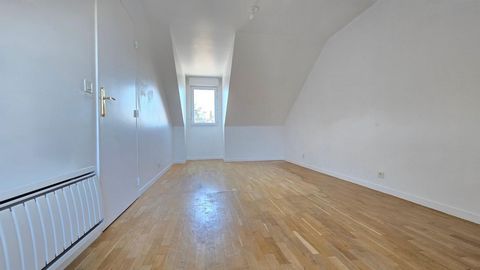 photo no. 11