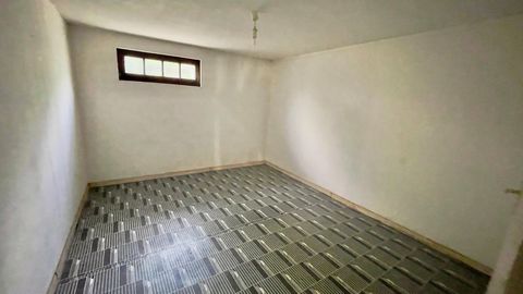 photo no. 12