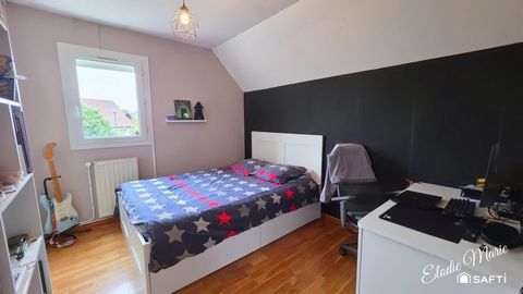 photo no. 11