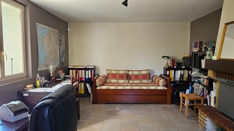 photo no. 11