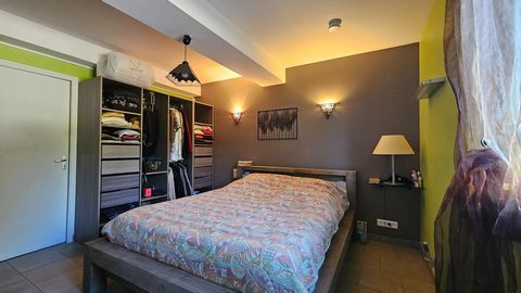 photo no. 12