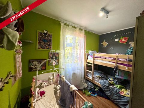 photo no. 15